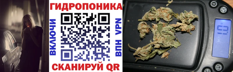 МАРИХУАНА OG Kush  Чёрмоз 